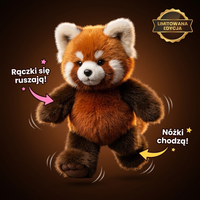 Czerwona Panda - NOWOŚĆ!